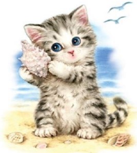 a summer kitty with seashell